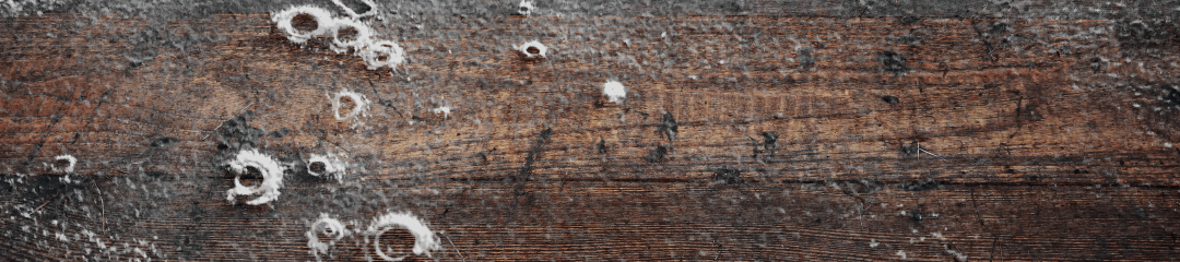 Efflorescence
